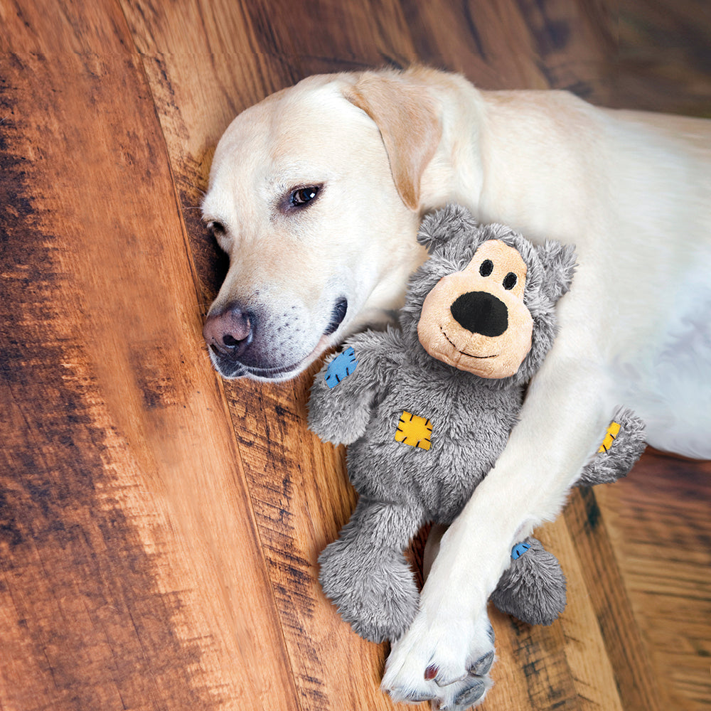 KONG Wild Knots Bear Dog Plush & Chew Toy - Assorted - 1 Piece - Heads Up For Tails