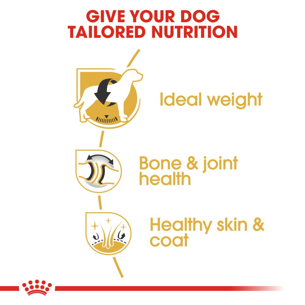 Royal Canin Labrador Retriever Adult Dry Dog Food - Heads Up For Tails
