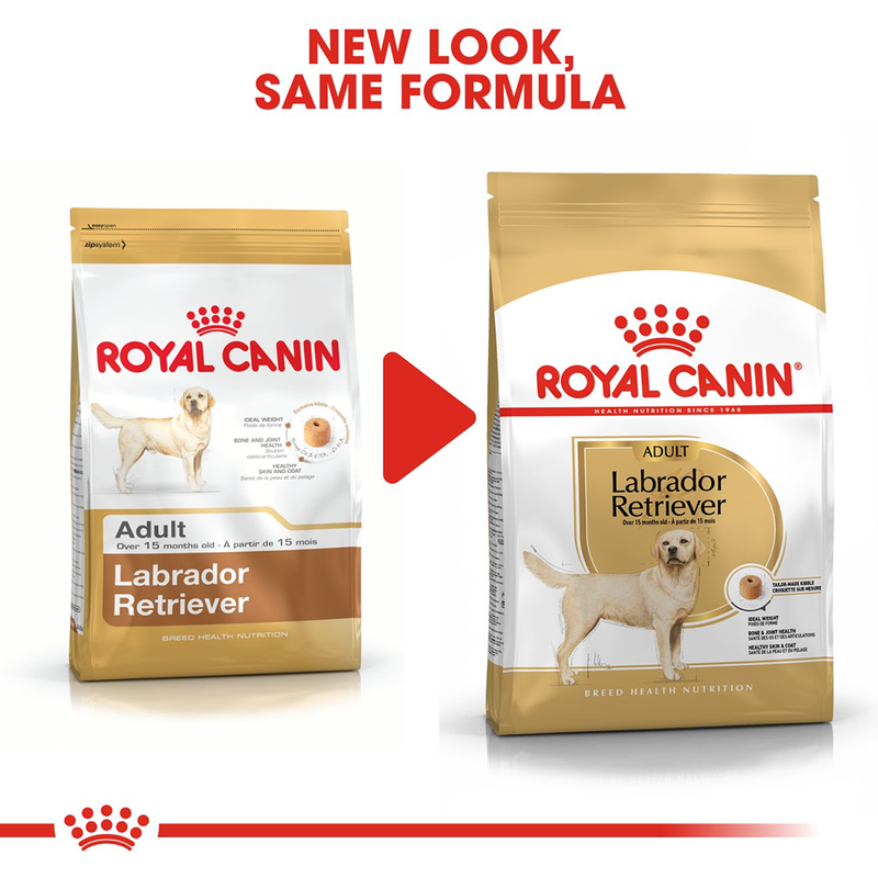 Royal Canin Labrador Retriever Adult Dry Dog Food - Heads Up For Tails