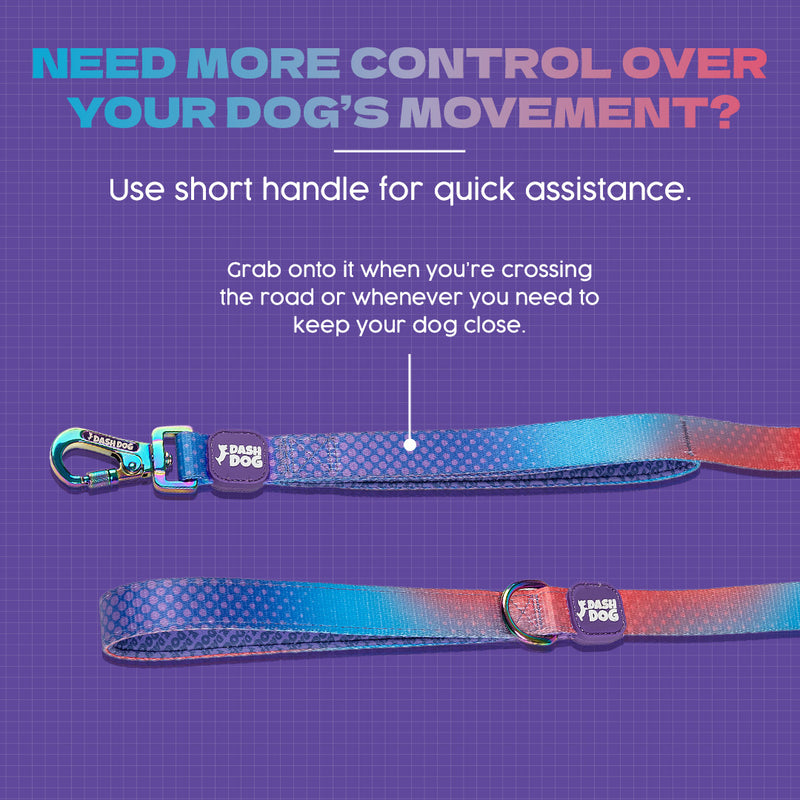 Dash Dog Flow Printed Leash - Violet & Red - Heads Up For Tails