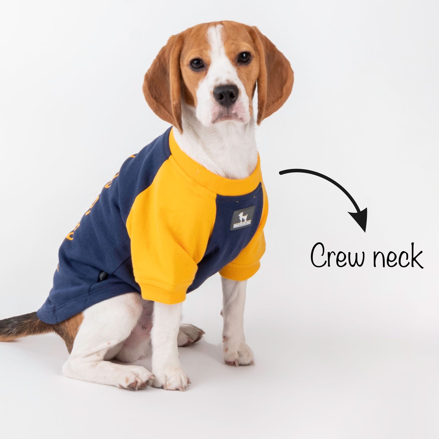 HUFT Less Talkie More Walkie Pet Sweatshirt - Navy - Heads Up For Tails