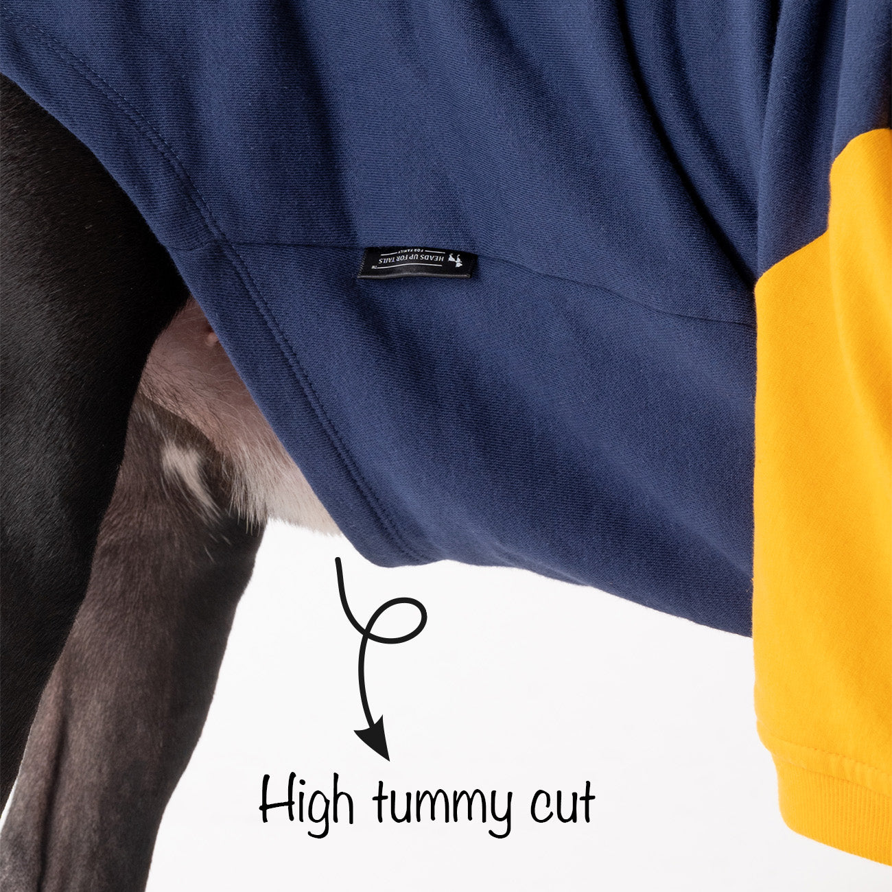 HUFT Less Talkie More Walkie Pet Sweatshirt - Navy - Heads Up For Tails