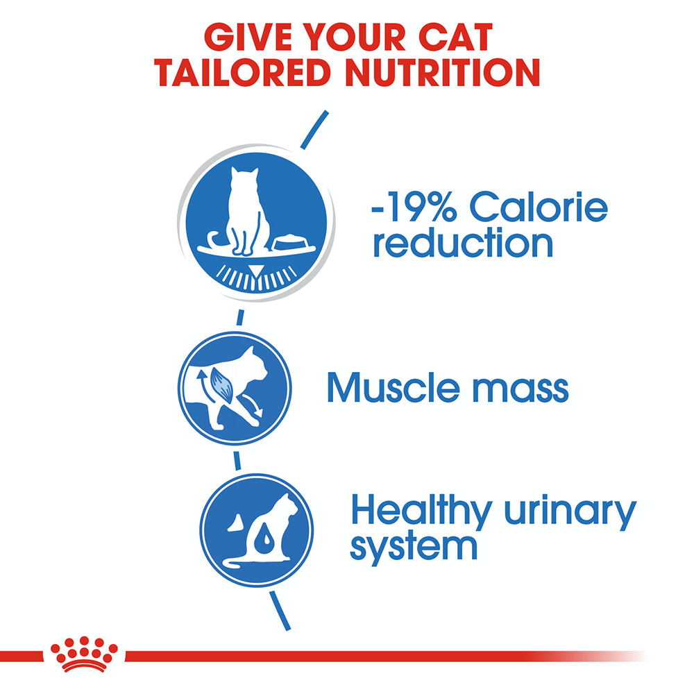 Royal Canin Ultra Light Wet Cat Food - 85 g packs - Heads Up For Tails
