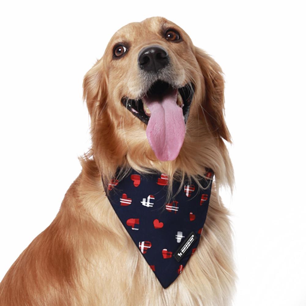 HUFT Navy Hearts Dog Bandana3