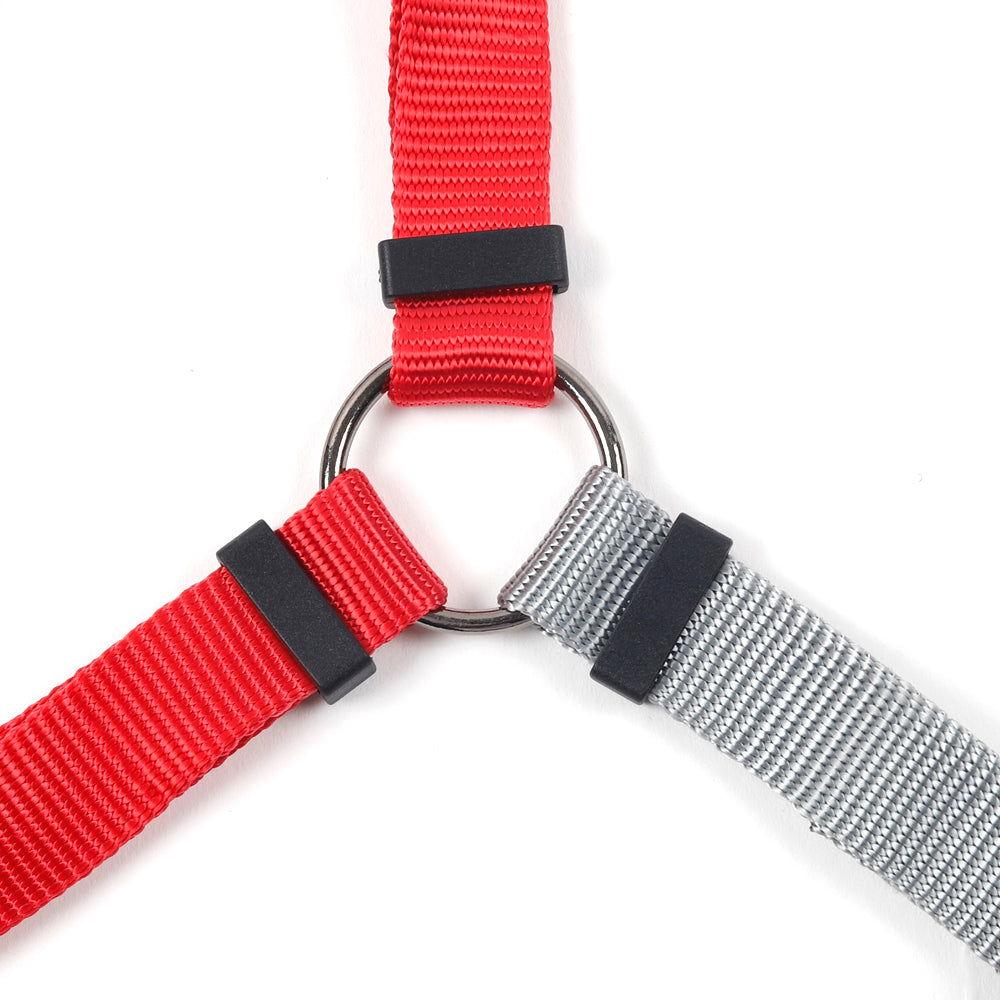 HUFT Essentials Nylon Dog H-Harness - Red-7