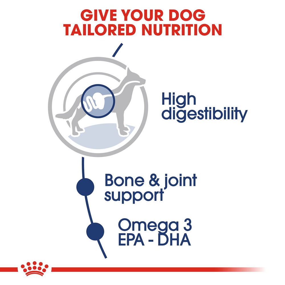 Royal Canin Maxi Adult Dog Wet Food - 140 g - Heads Up For Tails