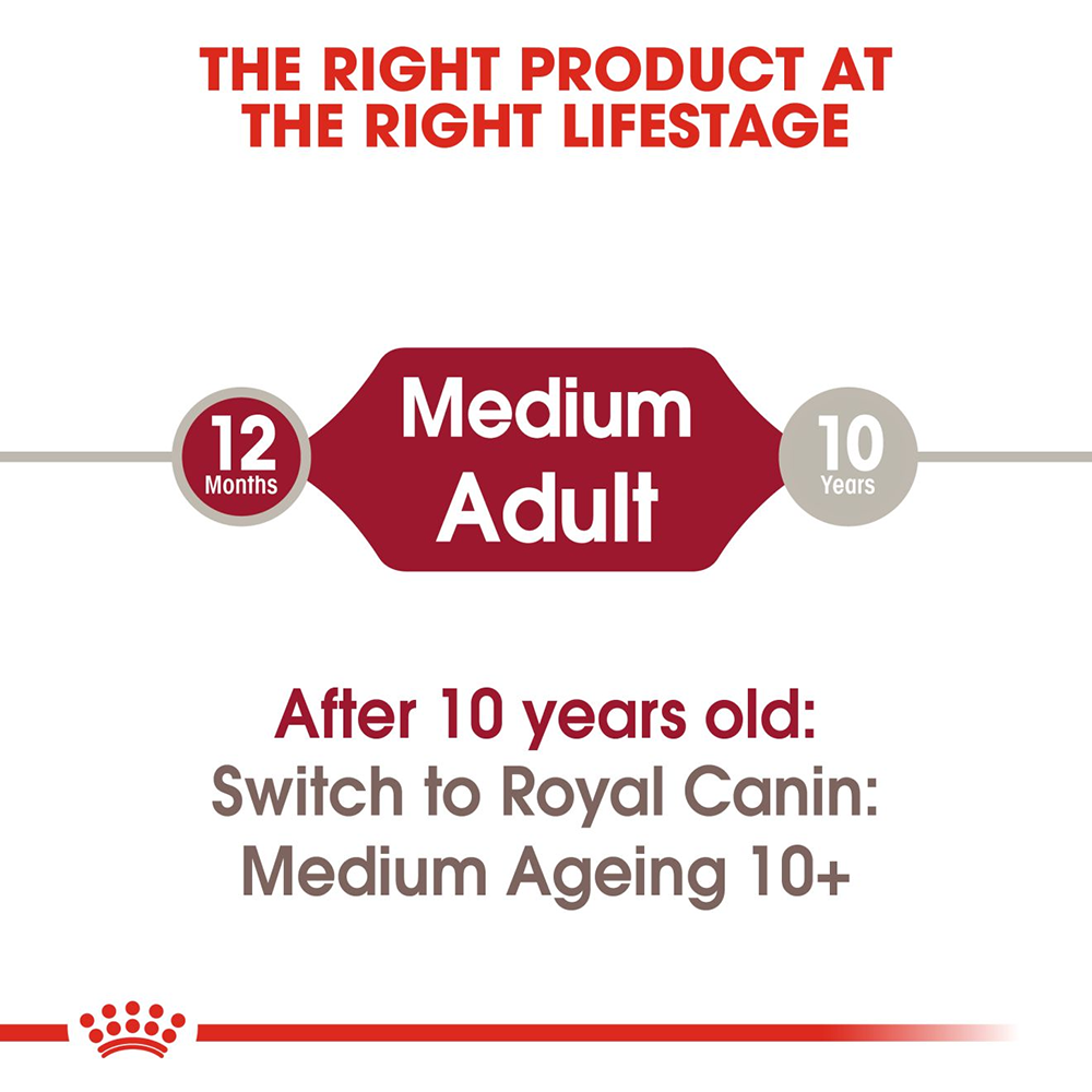 Royal Canin Medium Breed Adult Wet Dog Food - 140 g - Heads Up For Tails