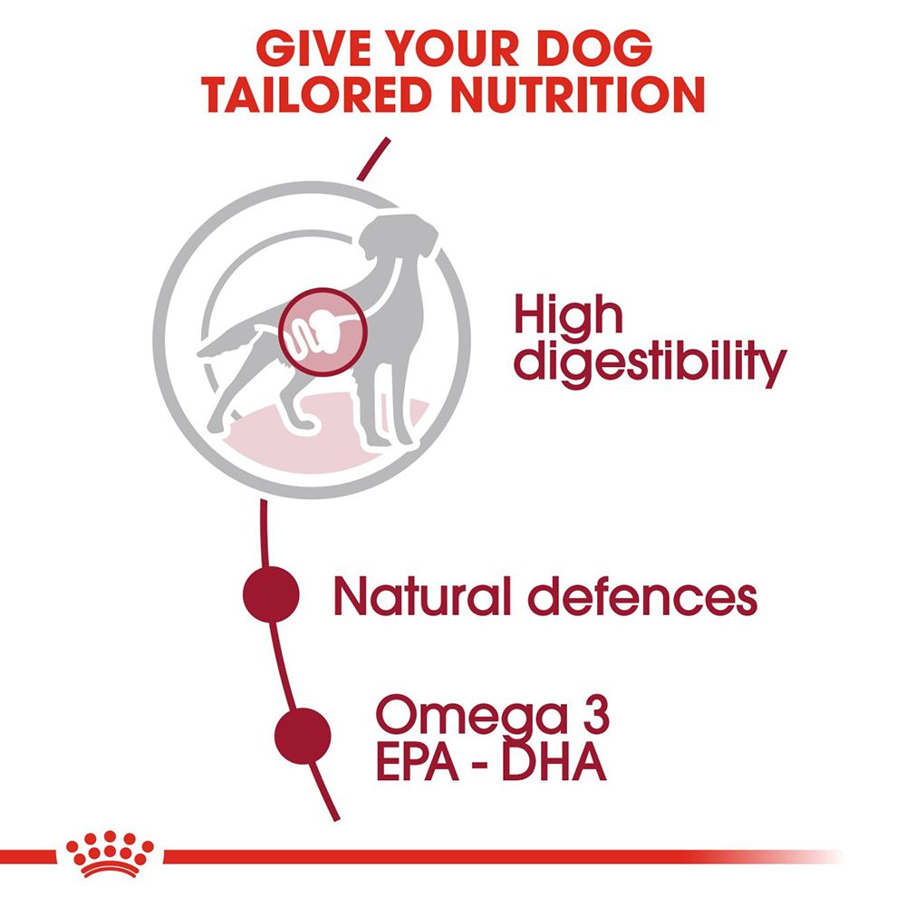 Royal Canin Medium Breed Adult Wet Dog Food - 140 g - Heads Up For Tails