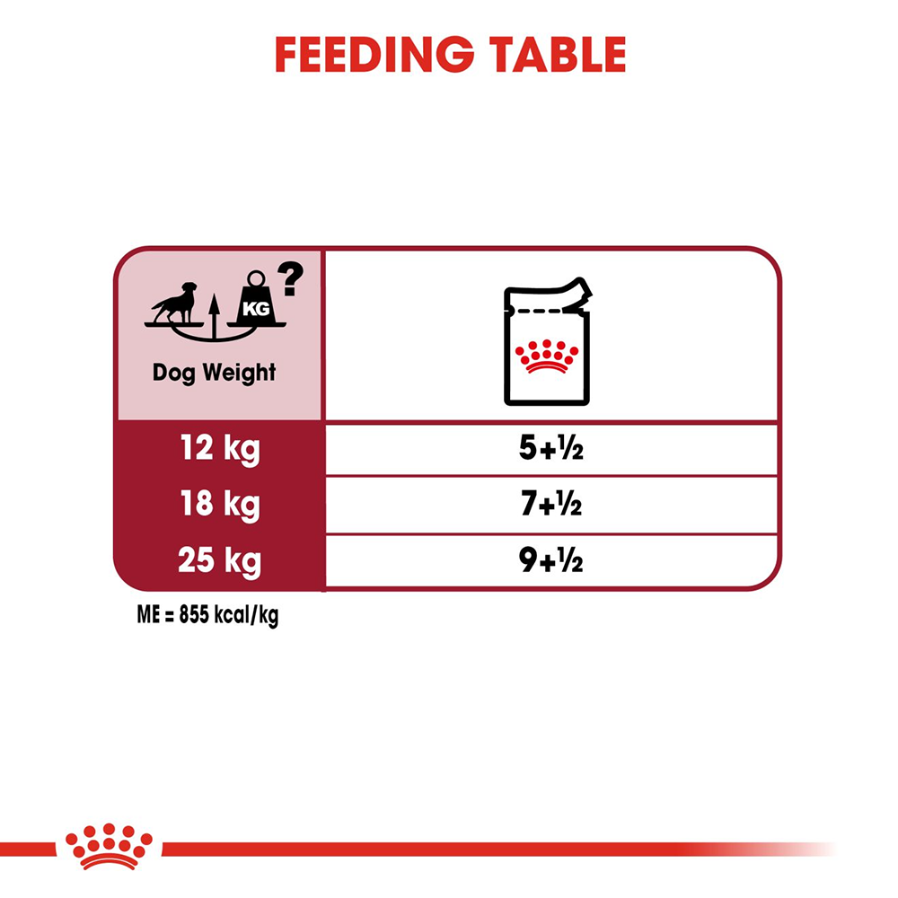 Royal Canin Medium Breed Adult Wet Dog Food - 140 g - Heads Up For Tails