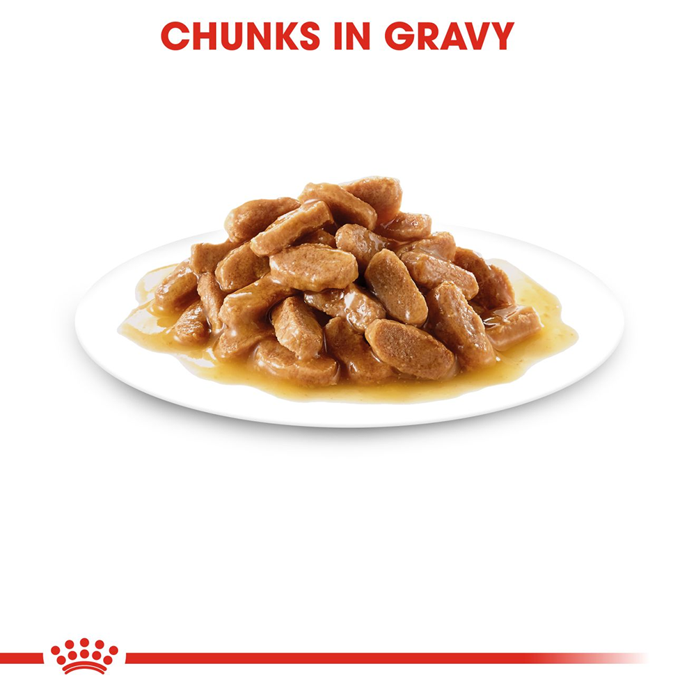 Royal Canin Puppy Medium Wet Puppy Food - 140 g - Heads Up For Tails