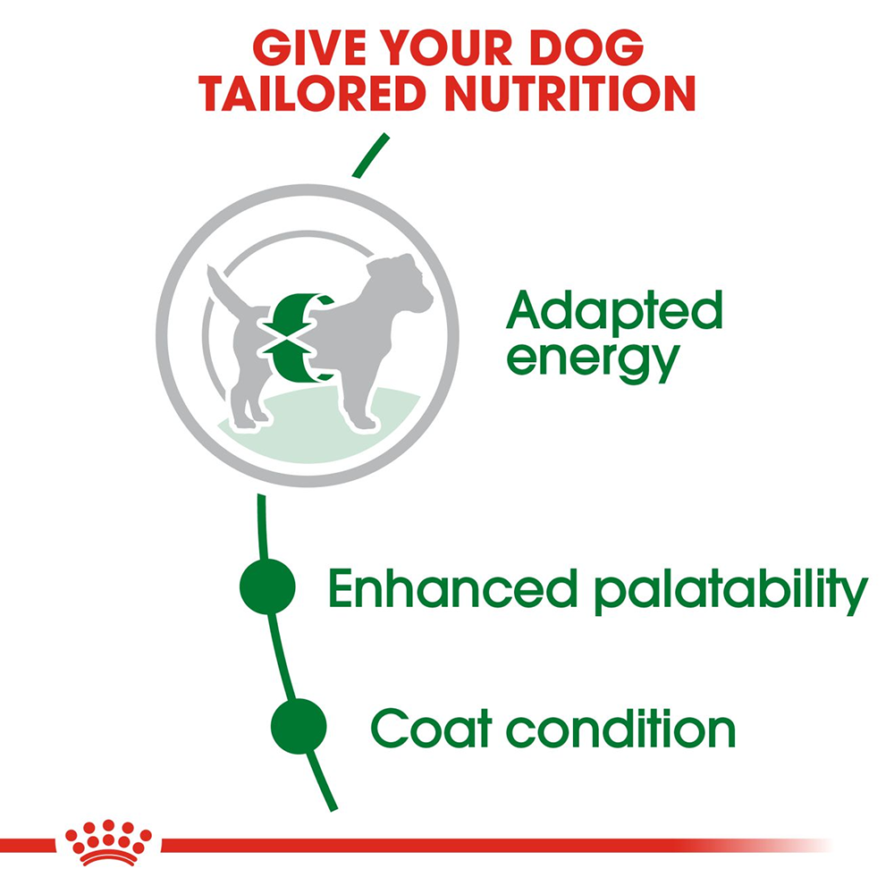 Royal Canin Mini Breed Adult Dry Dog Food - Heads Up For Tails