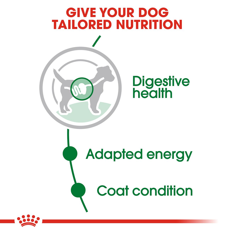 Royal Canin Mini Breed Adult Wet Dog Food - 85 g packs - Heads Up For Tails