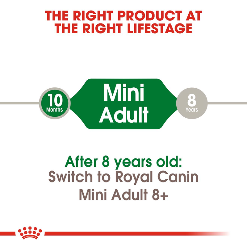 Royal Canin Mini Breed Adult Dry Dog Food - Heads Up For Tails