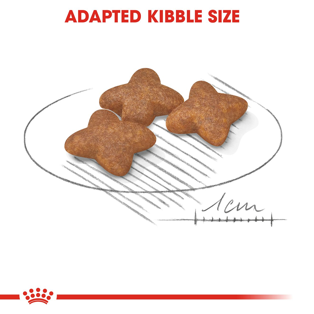 Royal Canin Mini Breed Adult Dry Dog Food - Heads Up For Tails
