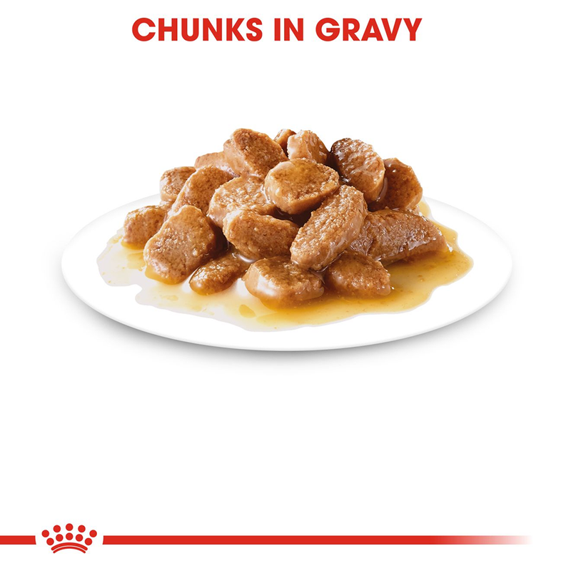 Royal Canin Mini Breed Adult Wet Dog Food - 85 g packs - Heads Up For Tails