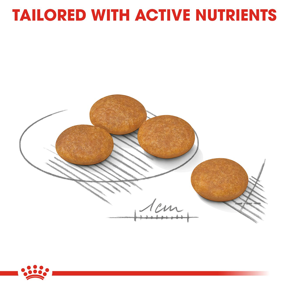Royal Canin Dermacomfort Dry Dog Food (Mini upto 10 kg) - 1 kg - Heads Up For Tails