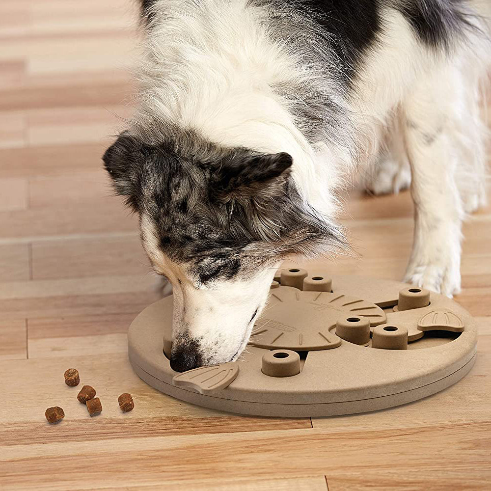 Outward Hound (Nina Ottosson) Dog Worker Composite - Spin, Scoot & Treat - Interactive Dog Toy - Level 3_06