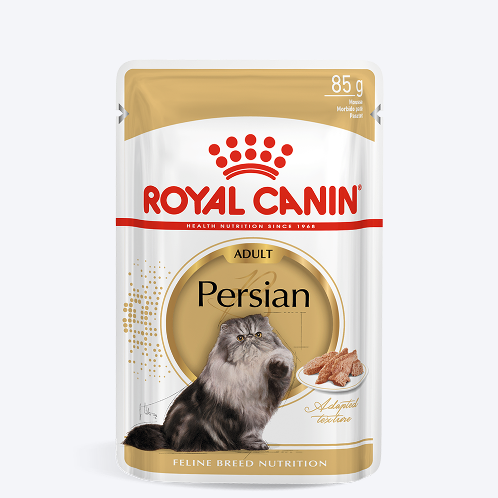 Royal Canin Adult Persian Cat Food Online India Heads Up For Tails