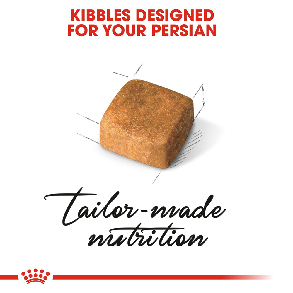 Royal Canin Persian Dry Kitten Food - Heads Up For Tails