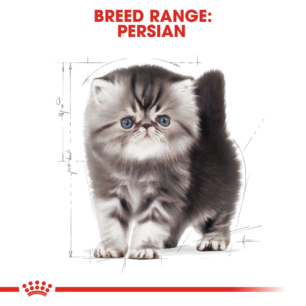 Royal Canin Persian Dry Kitten Food - Heads Up For Tails