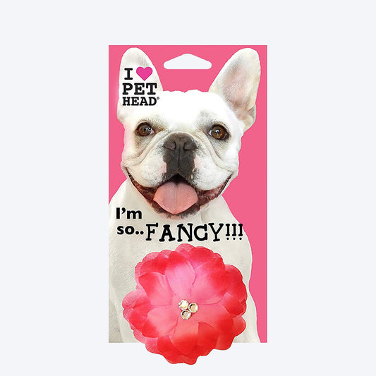 Pet Head I M So Fancy Dog Collar Slider - Heads Up For Tails