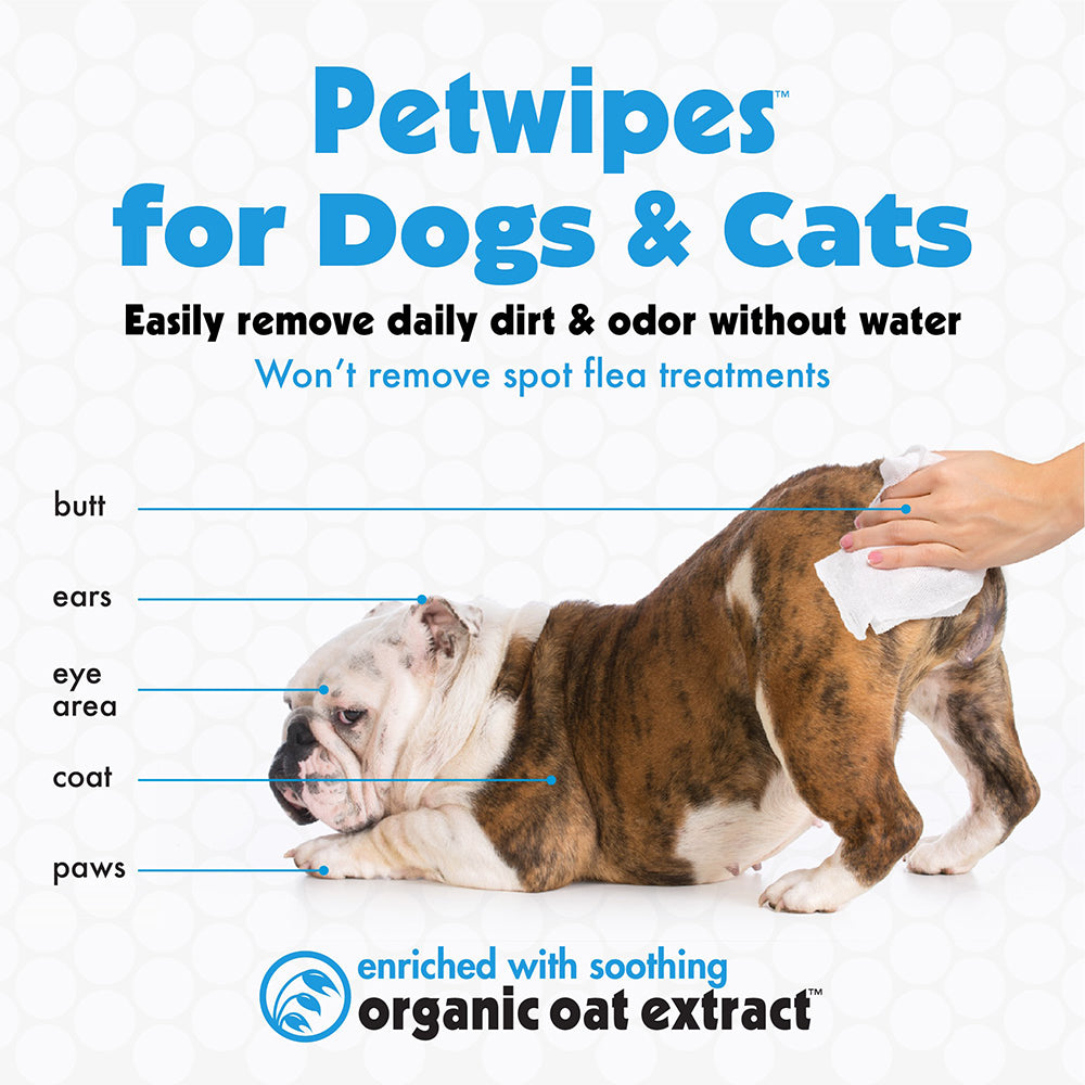 Petkin Travel Pack Pet Wipes - 100 Pcs - Heads Up For Tails