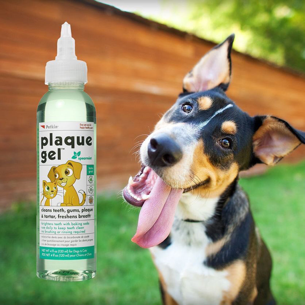 Petkin - Plaque Gel, Spearmint for Cats & Dogs - 120 ml - Heads Up For Tails