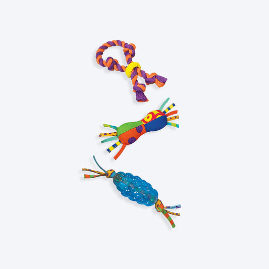 Petstages Chew Starter Dental Dog Toys, Pack of 3 - Heads Up For Tails