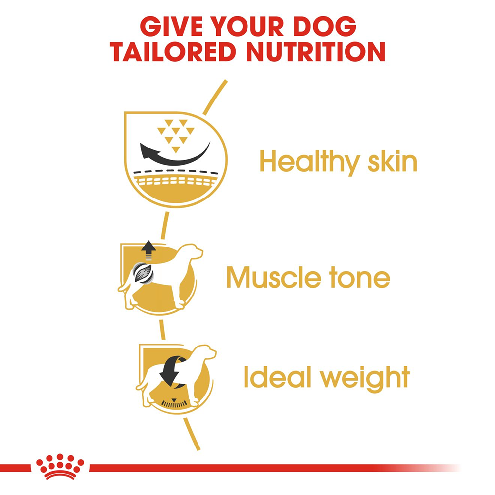 Royal Canin Pug Adult Dry Dog Food - Heads Up For Tails