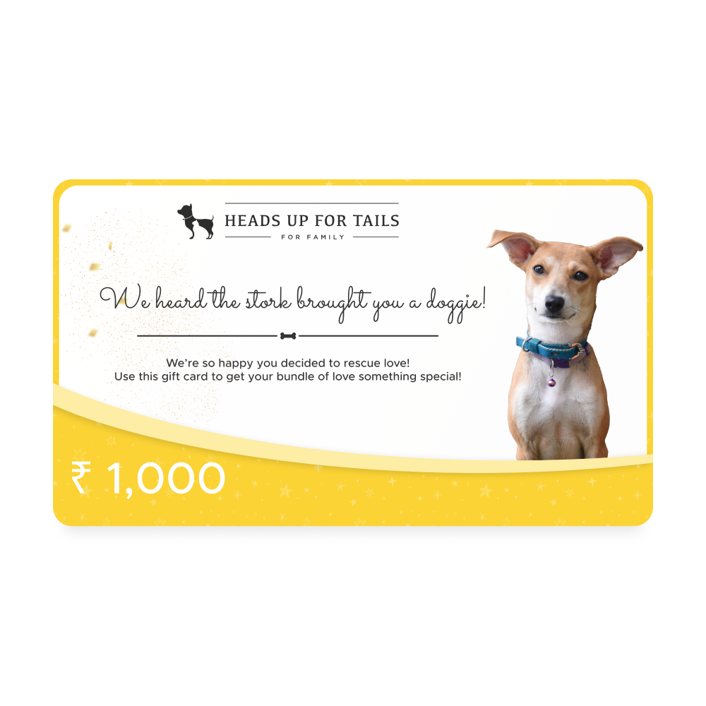HUFT New Dog Adoption Gift Card3