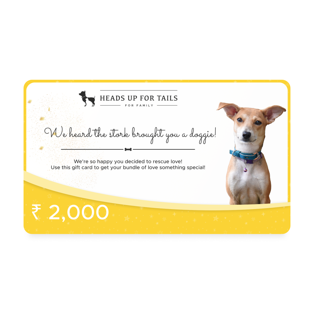HUFT New Dog Adoption Gift Card4