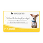 HUFT New Dog Adoption Gift Card5