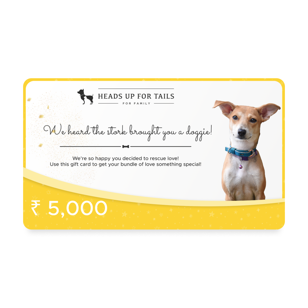 HUFT New Dog Adoption Gift Card5