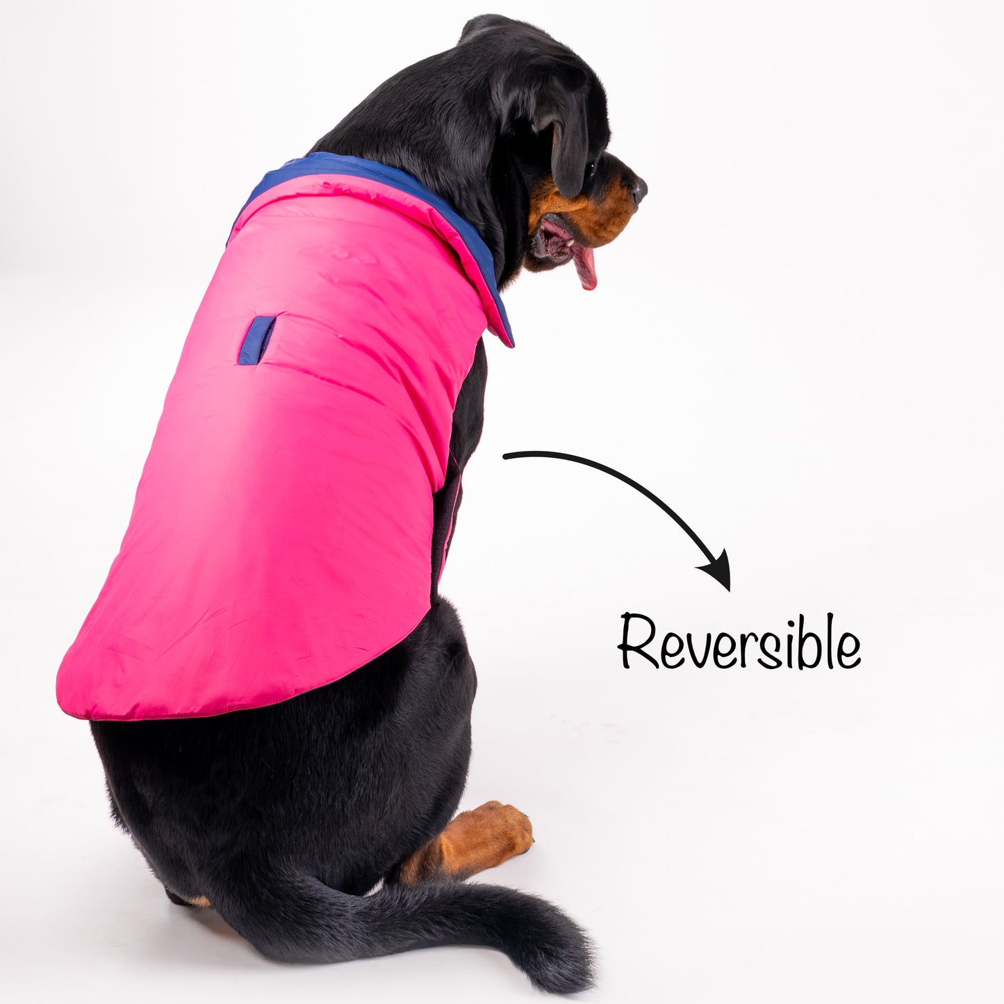 HUFT Cosy Pupper Reversible Dog Jacket - Denim Blue - Heads Up For Tails