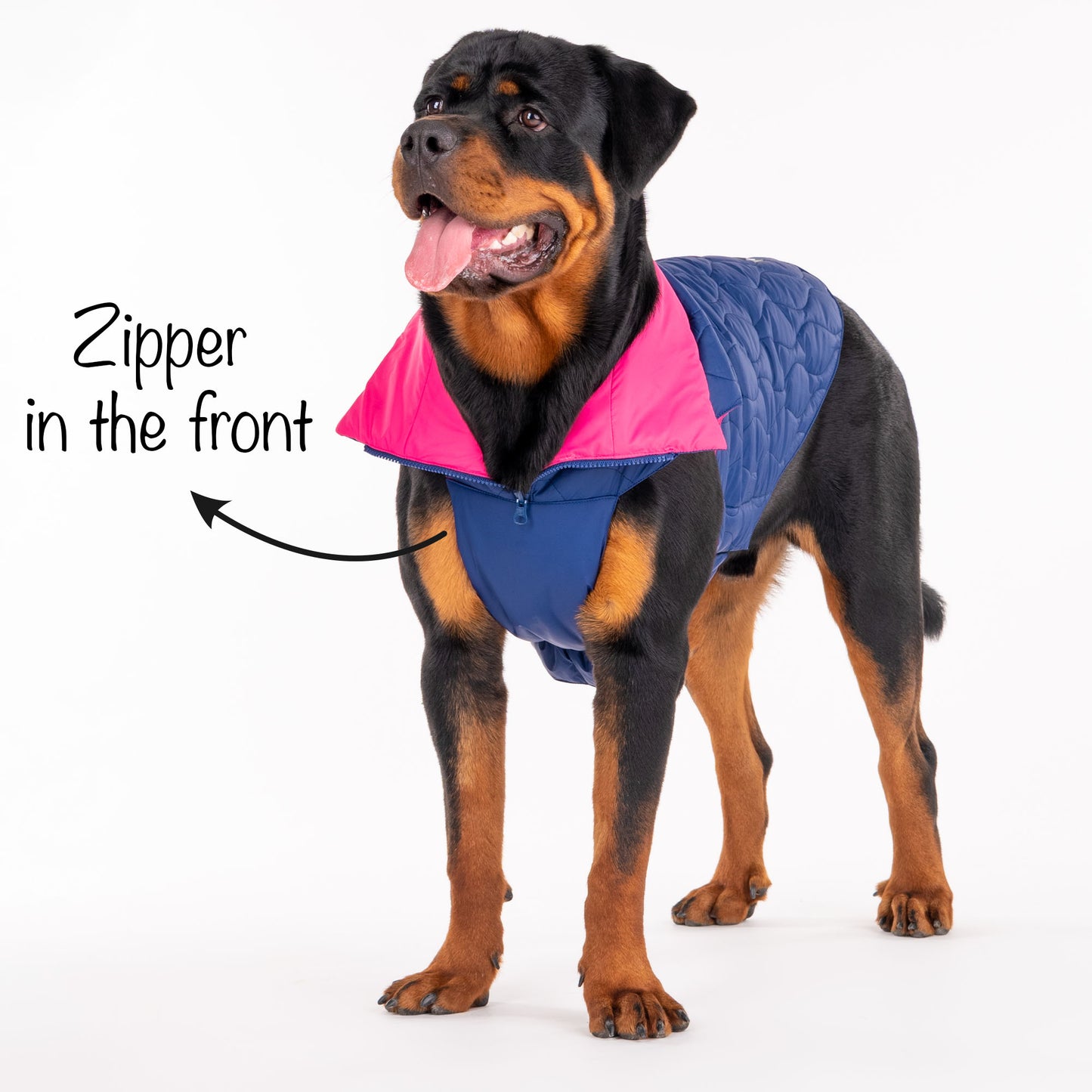 HUFT Cosy Pupper Reversible Dog Jacket - Denim Blue - Heads Up For Tails