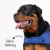HUFT Wintersong Corduroy Dog Jacket - Blue - Heads Up For Tails