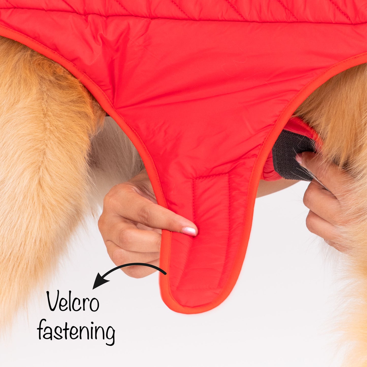 HUFT Wintersong Reversible Dog Jacket - Red - Heads Up For Tails