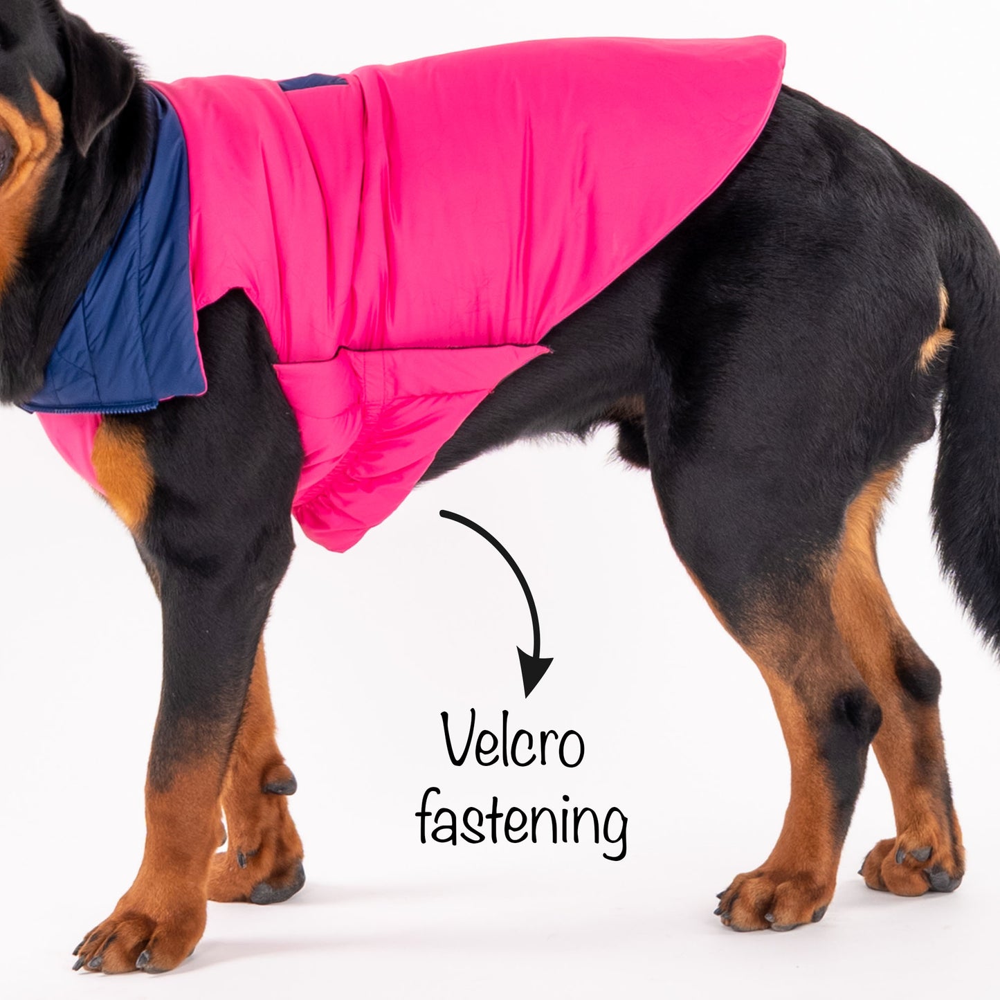 HUFT Cosy Pupper Reversible Dog Jacket - Denim Blue - Heads Up For Tails