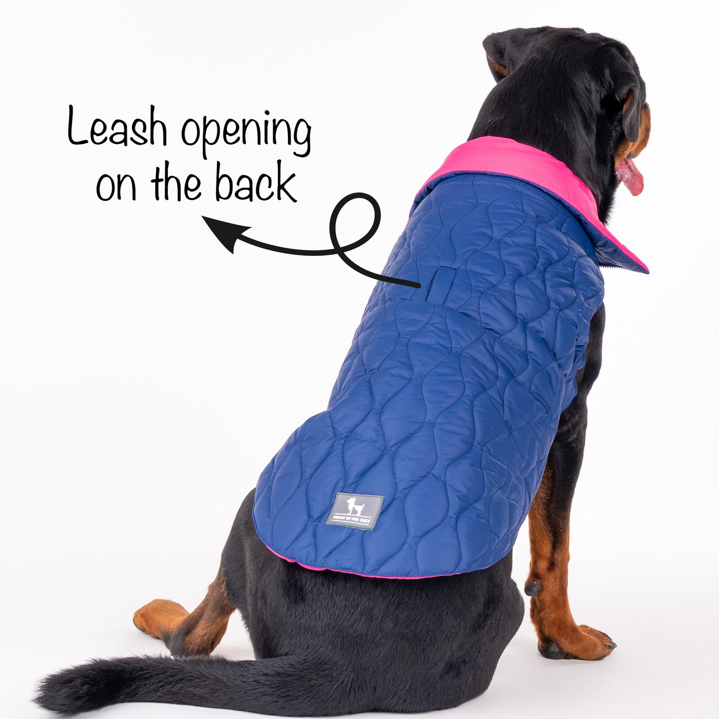 HUFT Cosy Pupper Reversible Dog Jacket - Denim Blue - Heads Up For Tails