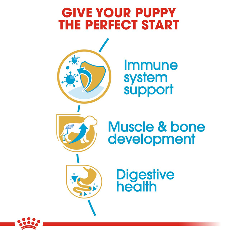 Royal Canin Rottweiler Junior Dry Puppy Food - Heads Up For Tails