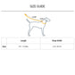 Ruffwear Front Range Dog Leash - Aurora Teal Standard - Heads Up For Tails