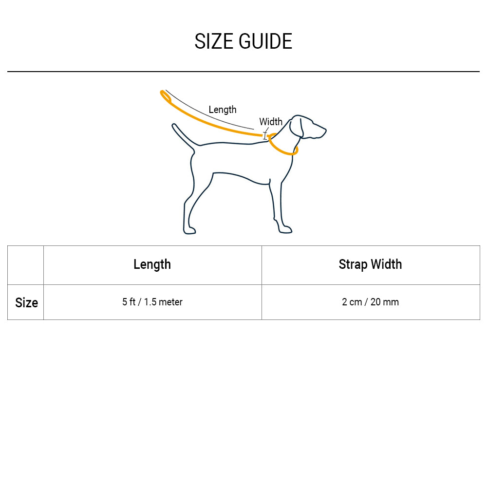 Ruffwear Front Range Dog Leash - Aurora Teal Standard - Heads Up For Tails