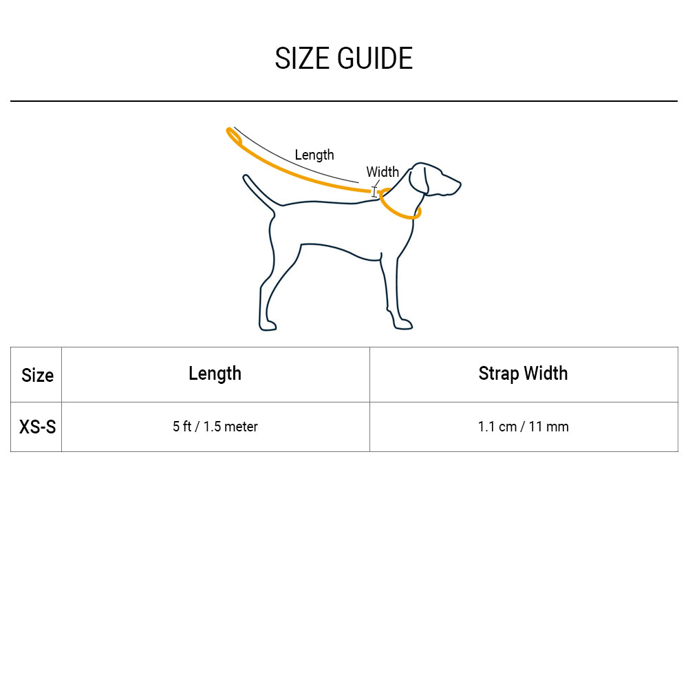 Ruffwear Just a Cinch Dog Leash - Aurora Teal - Heads Up For Tails