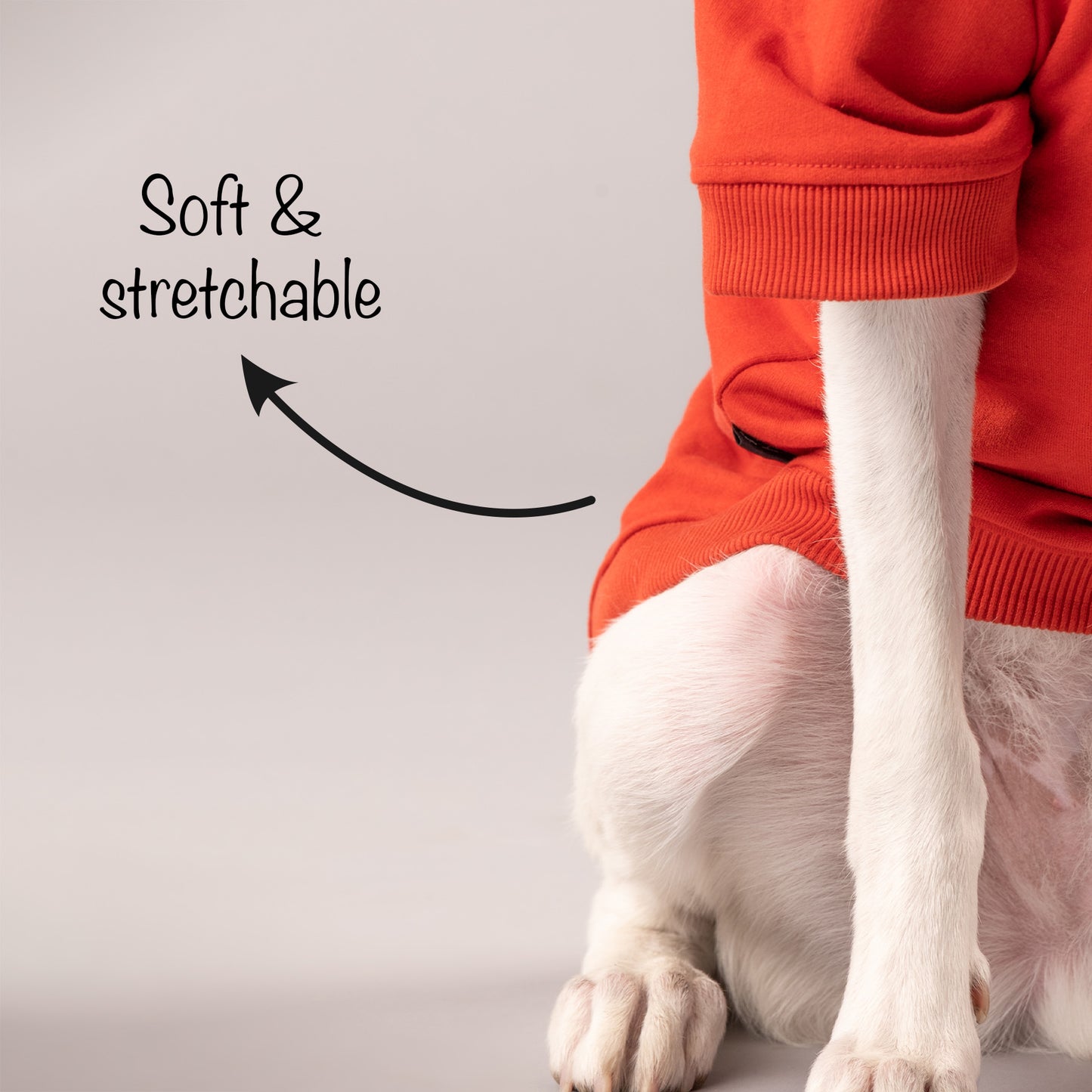HUFT Sweatshirt for Dogs - Rust - Heads Up For Tails