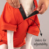 HUFT Sweatshirt for Dogs - Rust - Heads Up For Tails