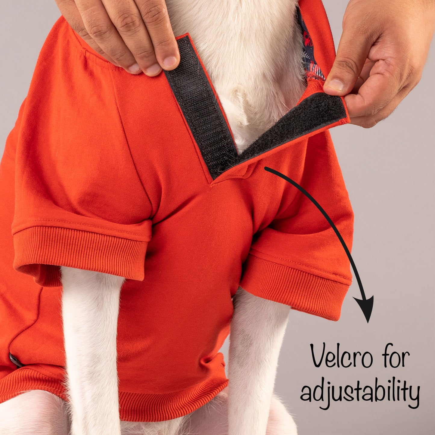 HUFT Sweatshirt for Dogs - Rust - Heads Up For Tails