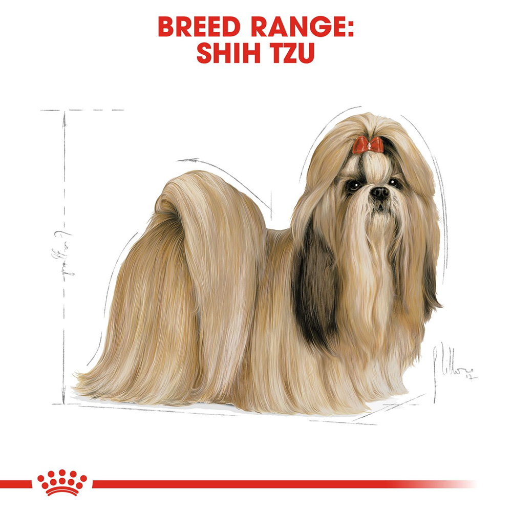 Royal Canin Shih Tzu Adult Dry Dog Food - Heads Up For Tails