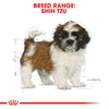 Royal Canin Shih Tzu Dry Puppy Food - 1.5 kg - Heads Up For Tails