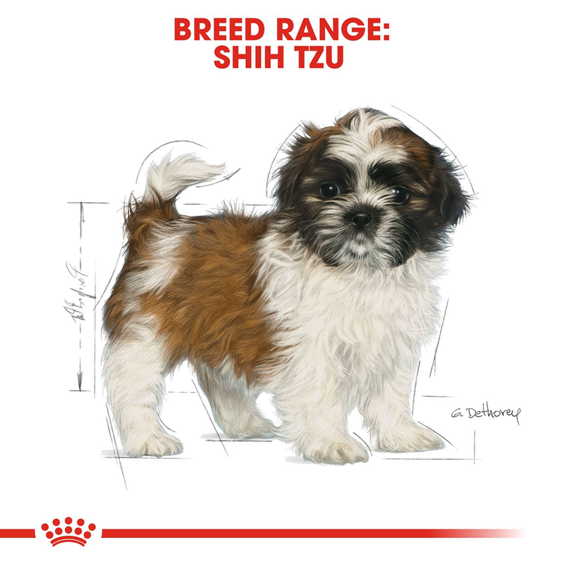 Royal Canin Shih Tzu Dry Puppy Food - 1.5 kg - Heads Up For Tails