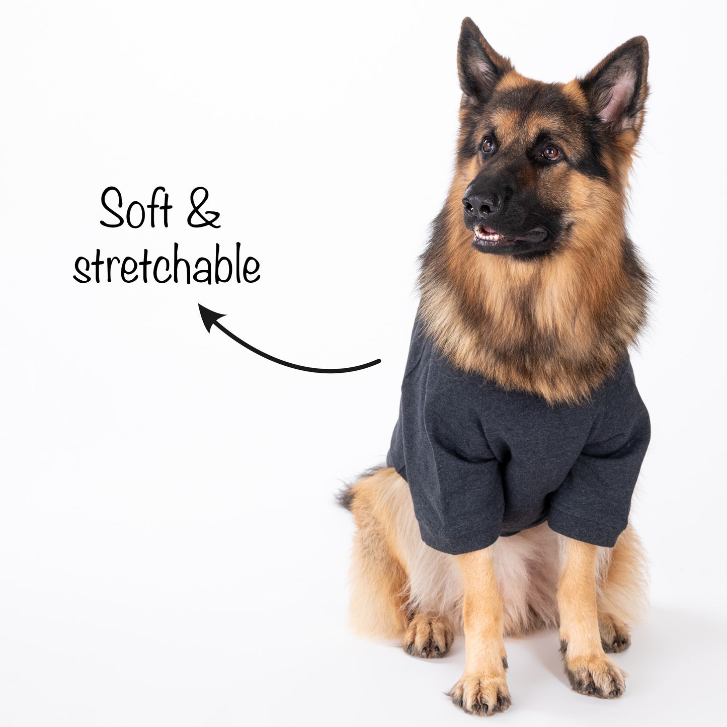 HUFT 24x7 Snuggle Duty Foil Print Pet Sweatshirt - Grey Melange - Heads Up For Tails